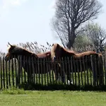 Apartamento In Near The Marina *