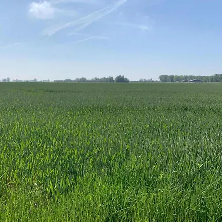 In Near The Marina * Nieuwpoort