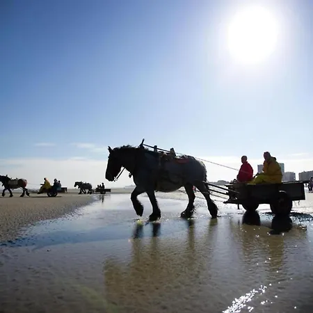 In Near The Marina Apartamento *