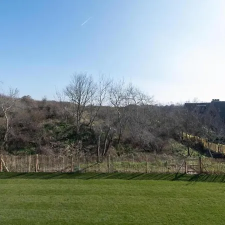 In Near The Marina * Nieuwpoort